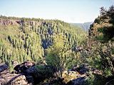 B Oak Creek Canyon 04 : America, Arizona, Landscape, Oak Creek Canyon, Sightseeing, Spring, USA