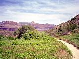 C Grand Canyon 11 : America, Arizona, Grand Canyon National Park, Hiking, Landscape, Spring, USA