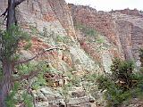 F Zion 01 : America, Landscape, Sightseeing, Spring, USA, Utah, Zion National Park