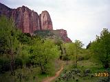 F Zion 04 : America, Hiking, Landscape, Spring, USA, Utah, Zion National Park