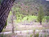 F Zion 06 : America, Hiking, Landscape, Spring, USA, Utah, Zion National Park