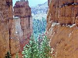 G Bryce Canyon 04 : America, Bryce National Park, Hiking, Landscape, Spring, USA, Utah