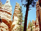 G Bryce Canyon 05 : America, Bryce National Park, Hiking, Landscape, Spring, USA, Utah