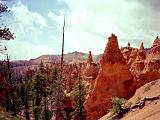 G Bryce Canyon 09 : America, Bryce National Park, Hiking, Landscape, Spring, USA, Utah