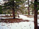 G Bryce Canyon 15 : America, Bryce National Park, Hiking, Landscape, Spring, USA, Utah