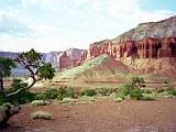 H Capitol Reef 06 : America, Capitol Reef National Park, Landscape, Sightseeing, Spring, USA, Utah