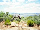 I Canyon Lands 08 : America, Canyonlands National Park, Landscape, Sightseeing, Spring, USA, Utah