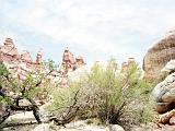 I Canyon Lands 19 : America, Canyonlands National Park, Hiking, Landscape, Spring, USA, Utah