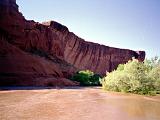 N Canyon de Chelly 03 : America, Arizona, Hiking, Navajo Reservation, Rivers or Creeks, Spring, USA