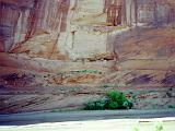 N Canyon de Chelly 04 : America, Arizona, Hiking, Historical, Navajo Reservation, Rivers or Creeks, Spring, USA