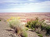 O Petrified Forest 03 : America, Arizona, Hiking, Landscape, Petrified Forest National Park, Spring, USA