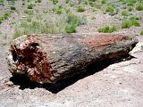 O Petrified Forest 07 : America, Arizona, Hiking, Landscape, Petrified Forest National Park, Spring, USA