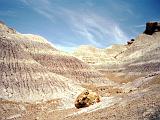 O Petrified Forest 08 : America, Arizona, Hiking, Landscape, Petrified Forest National Park, Spring, USA