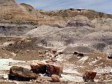 O Petrified Forest 09 : America, Arizona, Hiking, Landscape, Petrified Forest National Park, Spring, USA