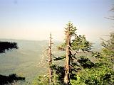 Camels Hump 01 : America, Camels Hump, Hiking, Landscape, Summer, USA, Vermont