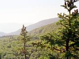 Camels Hump 03 : America, Camels Hump, Hiking, Landscape, Summer, USA, Vermont