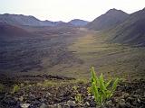 Haleakala 04 : America, Fall, Haleakala National Park, Hawaii, Hiking, Landscape, Maui, USA