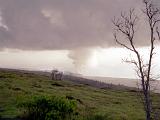 Hawaii Volcanoes NP 02 : America, Big Island, Fall, Hawaii, Hawaii Volcanoes National Park, Landscape, Sightseeing, USA