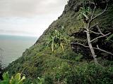 Kauai 01 : America, Fall, Hawaii, Hiking, Kalalau Beach, Kauai, Landscape, USA