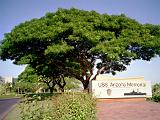 Oahu 01 : America, Fall, Hawaii, Historical, Museum, Oahu, Pearl Harbor, Sightseeing, Trees, USA