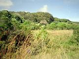 Road to Hana 01 : America, Fall, Hawaii, Landscape, Maui, Road to Hana, Sightseeing, USA