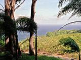 Road to Hana 03 : America, Fall, Hawaii, Landscape, Maui, Ocean, Road to Hana, Sightseeing, USA