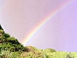 Road to Hana 08 : America, Fall, Hawaii, Landscape, Maui, Road to Hana, Sightseeing, USA