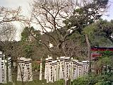 A Kamakura 06 : Asia, Historical, Japan, Kamakura, Sightseeing, Winter