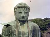 A Kamakura 08 : Asia, Historical, Japan, Kamakura, Sightseeing, Winter