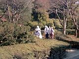 D Imperial Palace East Garden 01 : Asia, Historical, Japan, Sightseeing, Tokyo, Winter