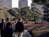 D Imperial Palace East Garden 02 : Asia, Japan, People, Sightseeing, Tokyo, Winter