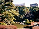 D Imperial Palace East Garden 03 : Asia, Historical, Japan, Sightseeing, Tokyo, Winter