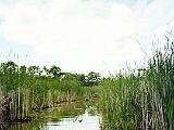 Dead Creek 02 : America, Canoeing, Dead Creek, Landscape, Rivers or Creeks, Summer, USA, Vermont