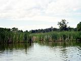 Dead Creek 03 : America, Canoeing, Dead Creek, Landscape, Rivers or Creeks, Summer, USA, Vermont