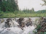 Green River Reservoir 03 : America, Canoeing, Green River Reservoir, Rivers or Creeks, Summer, USA, Vermont