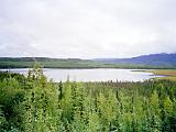 C Road to Seward 02 : Alaska, America, Kenai Peninsula, Landscape, Sightseeing, Summer, USA