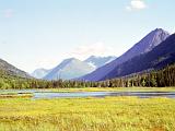 C Road to Seward 03 : Alaska, America, Kenai Peninsula, Landscape, Sightseeing, Summer, USA