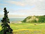 D Homer 01 : Alaska, America, Kenai Peninsula, Landscape, Sightseeing, Summer, USA