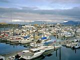 D Homer 04 : Alaska, America, Kenai Peninsula, Sightseeing, Summer, Urban, USA