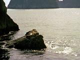 G Kenai Fjords NP 08 : Alaska, America, Kenai Fjords National Park, Landscape, Ocean, Sightseeing, Summer, USA