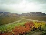 H Denali NP 02 : Alaska, America, Denali National Park, Landscape, Sightseeing, Summer, USA