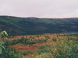 H Denali NP 15 : Summer