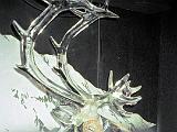 J Fairbanks 03 : Alaska, America, Fairbanks Area, Miscellaneous, Sightseeing, Summer, USA