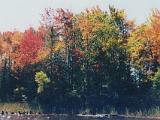 Peacham Pond 02 : America, Canoeing, Fall, Peacham Pond, Trees, USA, Vermont