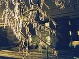 Ice Storm 05 : America, Burlington, Sightseeing, Trees, Urban, USA, Vermont, Winter