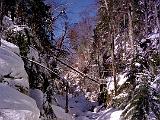 Devils Gulch 01 : America, Devil's Gulch, Landscape, Snowshoeing, USA, Vermont, Winter