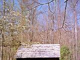 Great Smokies 04 : America, Great Smoky Mountains National Park, Historical, Landscape, North Carolina, Sightseeing, Spring, USA