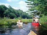 Lows Lake 05 : America, Canoeing, Lakes, Lows Lake and Oswegatchie River, New York, Summer, USA, Wolfgang Hokenmaier