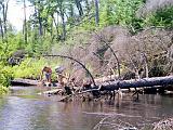 Lows Lake 11 : America, Canoeing, Lows Lake and Oswegatchie River, New York, Rivers or Creeks, Summer, USA