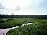 Lows Lake 13 : America, Canoeing, Lows Lake and Oswegatchie River, New York, Rivers or Creeks, Summer, USA